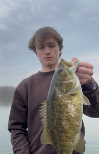 Smallmouth Bass Galore